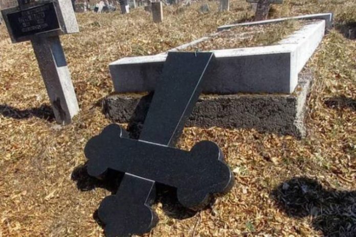 20220323115546584236