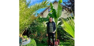 Сокочанин Стефан Јоловић узгаја ријетке и тропске биљке: Дух Медитерана на Романији