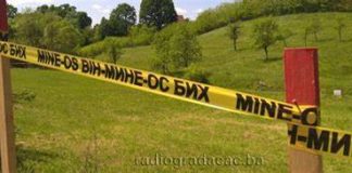 Деминирање на подручју Грлице и Војковића
