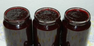 Како направити џем од шљива – ГЛАС РЕГИЈЕ.057