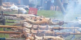 Почела „Јагњијаде 2022“ на Вучијој Луци – ГЛАС РЕГИЈЕ.057