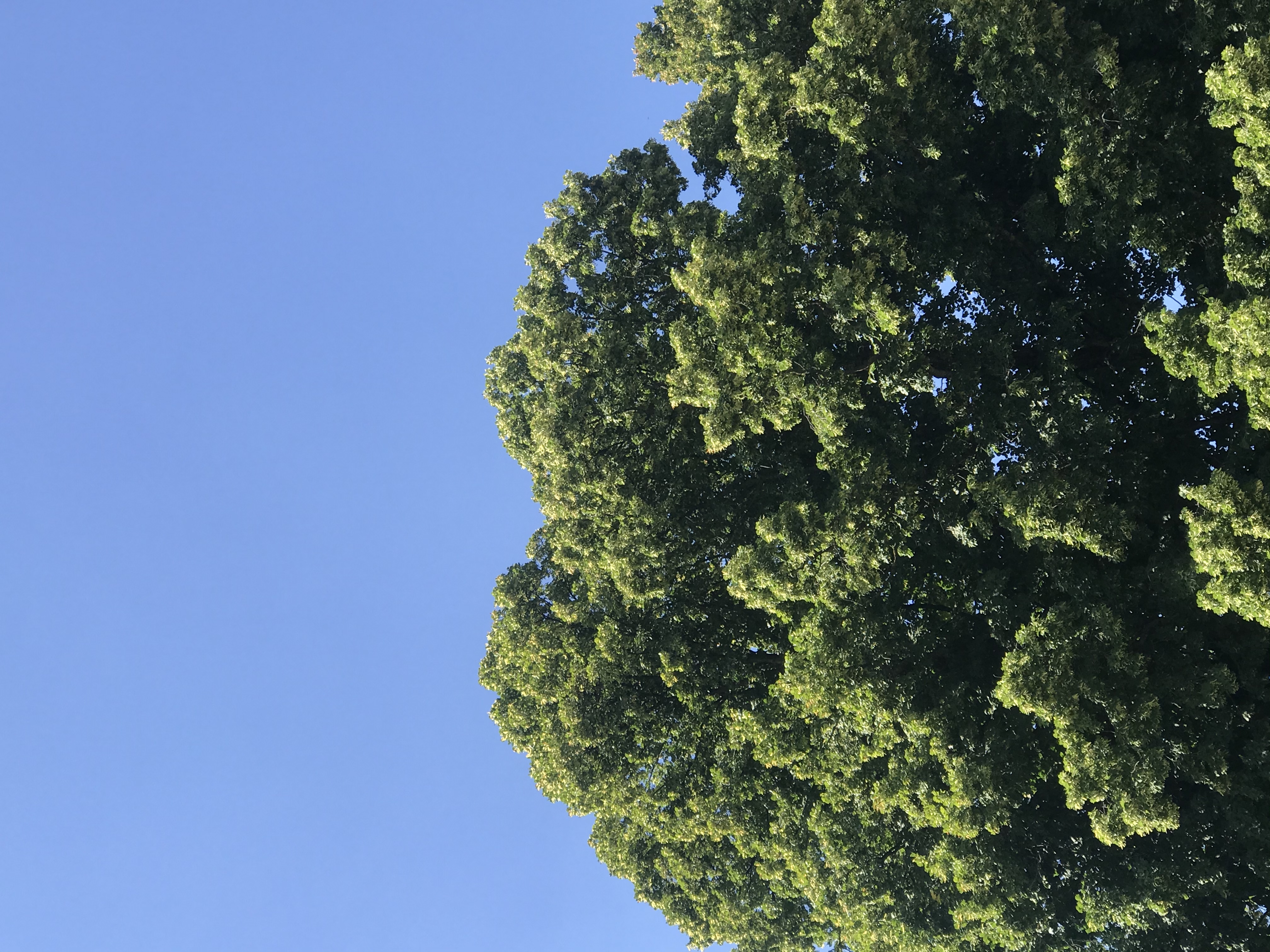 1A34E7FC-3307-43CB-A223-0F3D670E10E5