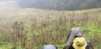 Опет „нападају“ на село Касидоли – ГЛАС РЕГИЈЕ.057