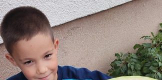 Rodile lubenice na Romaniji – GLAS REGIJE.057