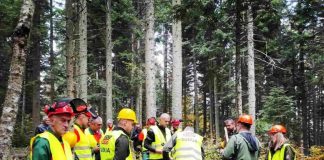 Такмичење сјекача моториста ЈП „Шуме Републике Српске“ – ГЛАС РЕГИЈЕ.057
