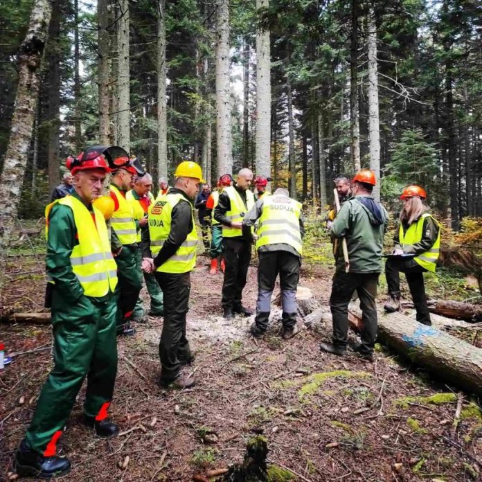 311291820-2267257750104456-5283954444392668723-n