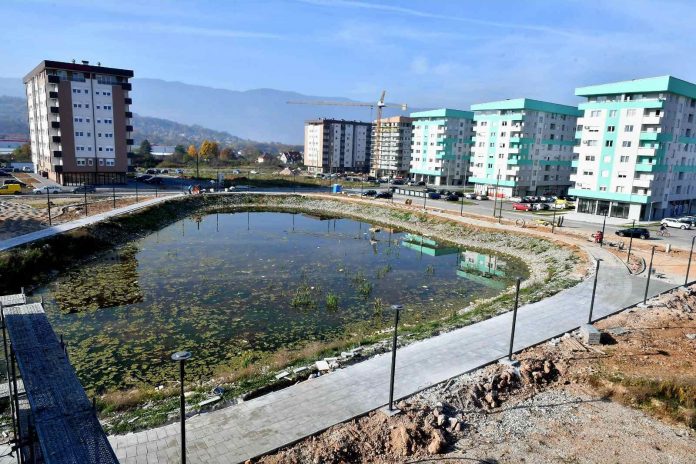 312054363-477876837709132-3227346406789972806-n