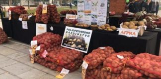 Dan rogatičkog krompira i romanijskog skorup-kajmaka “Istočno Sarajevo 2022” – GLAS REGIJE.057