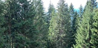 Pale: Eko-teretana na Golom Koranu – GLAS REGIJE.057