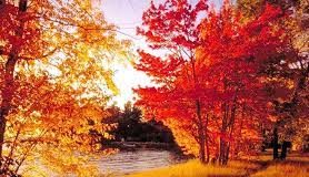 Стигло нам је Михољско љето – ГЛАС РЕГИЈЕ.057