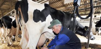 Соколачки мљекари обарају рекорде – ГЛАС РЕГИЈЕ.057