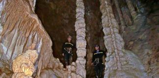 Браћа Брусин детаљно испитали сваку рогатичку пећину – ГЛАС РЕГИЈЕ.057