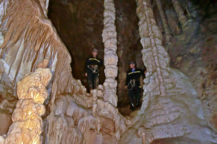 20230210235045-455736