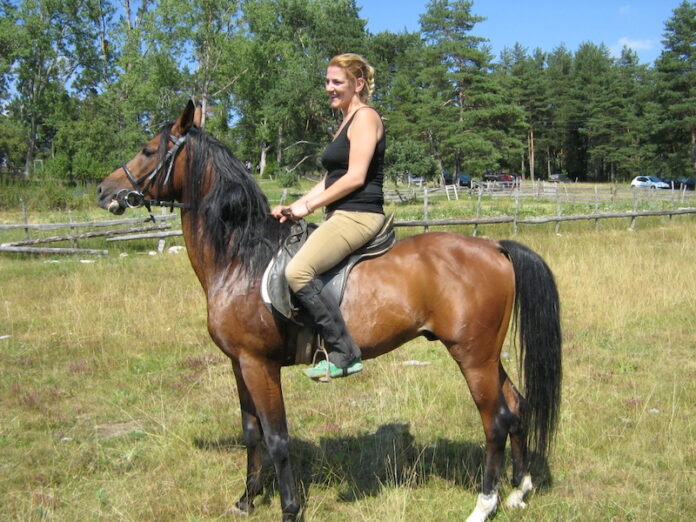 Rogatica-Borike-nekad-bilo-danas-ni-konja-ni-gostiju