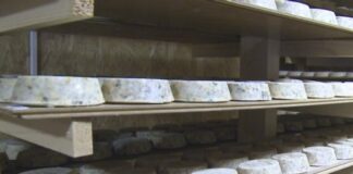 Производи од козијег млијека којег припрема породица Галијашевић из Пала постају бренд – ГЛАС РЕГИЈЕ.057