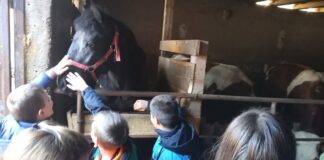 Učenici iz Tilave na časovima u prirodi – GLAS REGIJE.057