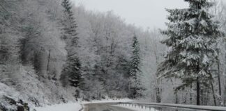 Магистрални путеви очишћени, али мокри и клизави – ГЛАС РЕГИЈЕ.057