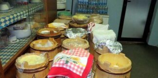 Tri zlatne medalje za „Romanijiski skorpu kajmak“ – GLAS REGIJE.057