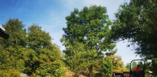 Асфалтиран пут до споменика жртава усташког терора на Раковцу – ГЛАС РЕГИЈЕ.057