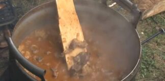 Одржана „Гулашијада“ у Комници – ГЛАС РЕГИЈЕ.057