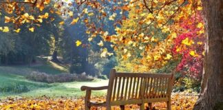 Данас почиње јесен – ГЛАС РЕГИЈЕ.057