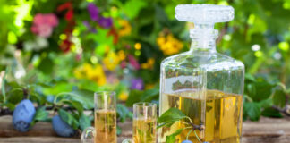 Српска годишње произведе 1,2 милиона литара ракије – ГЛАС РЕГИЈЕ.057