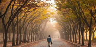 Данас Свјетски дан без аутомобла – ГЛАС РЕГИЈЕ.057