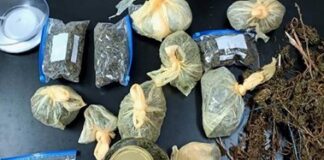 Ђорђе Кузман и Сара Тробок осуђени због продаје дроге – ГЛАС РЕГИЈЕ.057