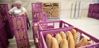 Пекари Влади предлажу да отвори пекару – ГЛАС РЕГИЈЕ.057