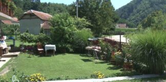 Све се више обнављају сеоске куће и праве викендице – ГЛАС РЕГИЈЕ.057