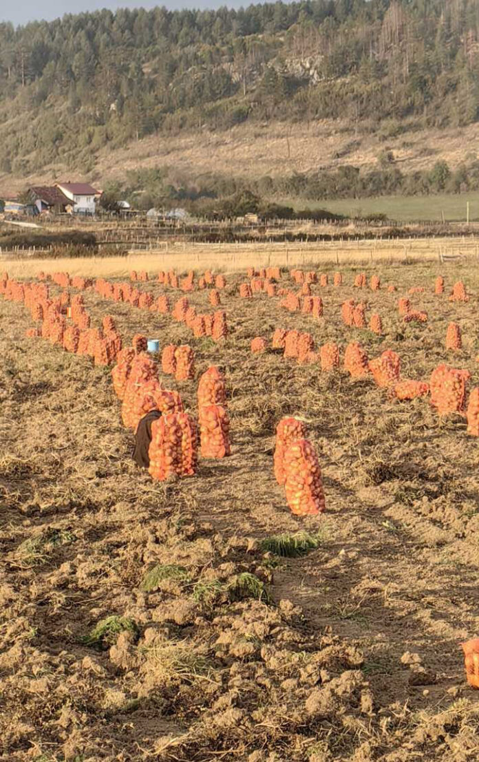 Рогатица - пољопривреда