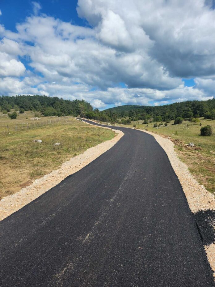 459383603-1036394211826565-7744499712701873054-n