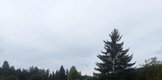 ШГ „Романија“ данас асфалтирало правац Подроманија-Дикаљи – 057.ГР