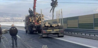 На Палама заплијена украдене шуме – 057.ГР