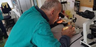 Трихинела на Палама – 057.ГР