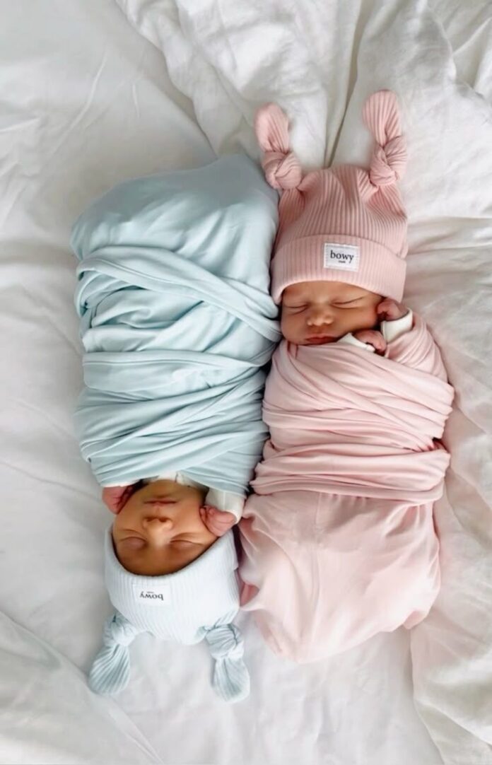 503705488-1009774311315458-7440604170383341646-n