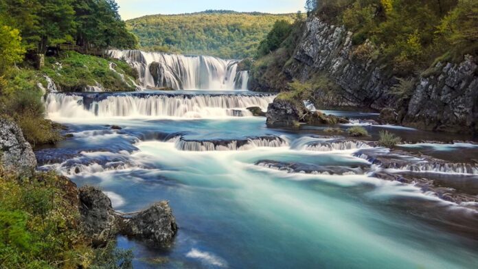 Фото: Владимир Тадић