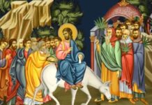 Данас празник Цвијети – 057